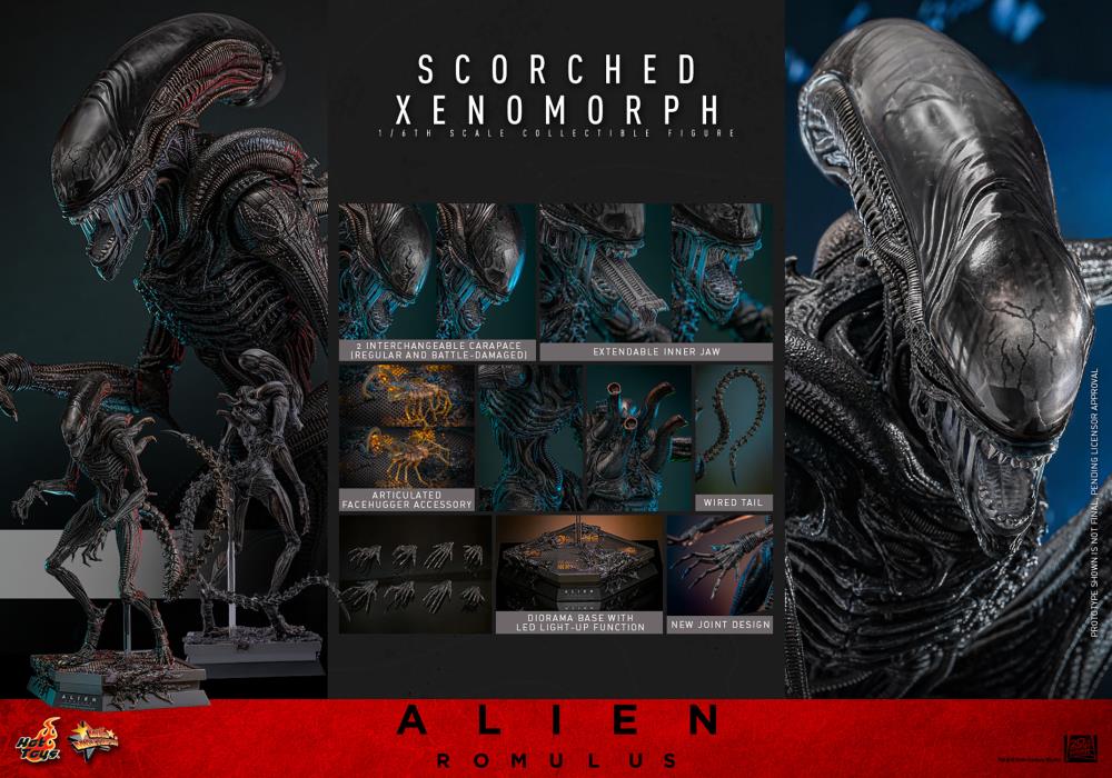 Pre Order ) Hot Toys Alien: Romulus MMS784 Scorched