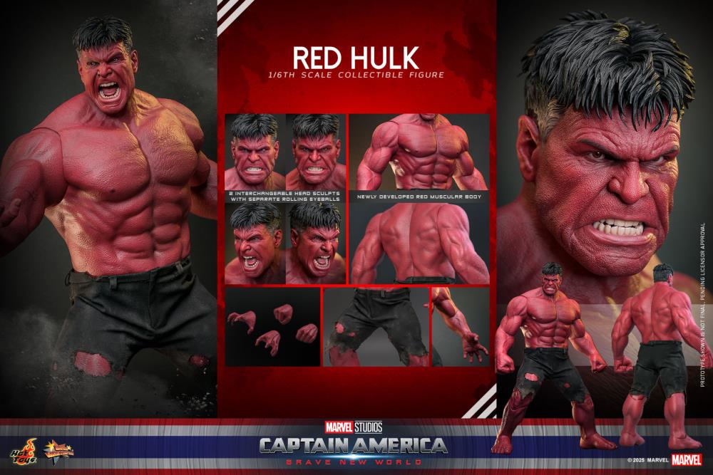 Pre Order ) Hot Toys Captain America: Brave New World MMS797 Red