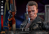 ( Pre Order ) Hot Toys T-800 (Battle Damaged Version 2.0) 1/6 Scale Figure