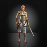 ( Pre Order ) Masters Of The Universe Chronicles Teela Action Figure