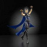 ( Pre Order ) Masters Of The Universe Chronicles Evil Lyn Action Figure