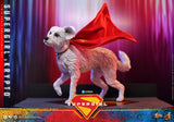 ( Pre Order ) Hot Toys Supergirl MMS869 Supergirl & Krypto 1/6th Scale Collectible Figure