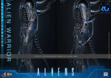 ( Pre Order ) Hot Toys Aliens MMS899 Alien Warrior (Deluxe Ver.) 1/6th Scale Collectible Figure