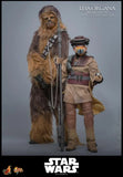 ( Pre Order ) Hot Toys Star Wars: Return of the Jedi MMS854 Leia Organa (Boushh Disguise) 1/6th Scale Collectible Figure