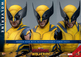IN STOCK! HOT TOYS Deadpool & Wolverine MMS754 Wolverine (Deluxe Ver.) 1/6th Scale Collectible Figure