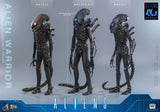 ( Pre Order ) Hot Toys Aliens MMS898 Alien Warrior 1/6th Scale Collectible Figure