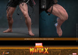 ( Pre Order ) HOT TOYS Marvel Comics CMS034 Weapon X 1/6th Scale Collectible Figure