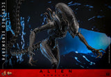 ( Pre Order ) Hot Toys Alien: Romulus MMS784 Scorched Xenomorph 1/6th Scale Collectible Figure