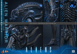 ( Pre Order ) Hot Toys Aliens MMS899 Alien Warrior (Deluxe Ver.) 1/6th Scale Collectible Figure