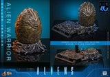 ( Pre Order ) Hot Toys Aliens MMS899 Alien Warrior (Deluxe Ver.) 1/6th Scale Collectible Figure