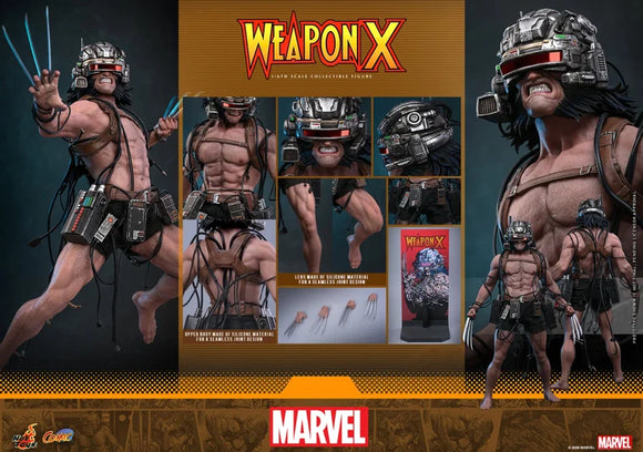 HOT TOYS – DJCCollectibles
