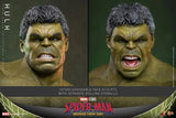 ( Pre Order ) Spider-Man: Brand New Day MMS905 Hulk 1/6th Scale Collectible Figure