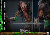 ( Pre Order ) HOT TOYS Prey TMS173 Feral Predator (Battle Damaged Ver.) 1/6th Scale Collectible Figure