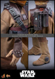 ( Pre Order ) Hot Toys Star Wars: Return of the Jedi MMS854 Leia Organa (Boushh Disguise) 1/6th Scale Collectible Figure