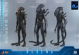 ( Pre Order ) Hot Toys Aliens MMS899 Alien Warrior (Deluxe Ver.) 1/6th Scale Collectible Figure