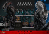 ( Pre Order ) Hot Toys Alien: Romulus MMS784 Scorched Xenomorph 1/6th Scale Collectible Figure