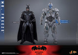 ( Pre Order ) Hot Toys Batman & Robin MMS800 Mr. Freeze (Deluxe Ver.) 1/6th Scale Collectible Figure
