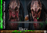 ( Pre Order ) HOT TOYS Prey TMS173 Feral Predator (Battle Damaged Ver.) 1/6th Scale Collectible Figure