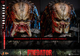 ( Pre Order ) hot Toys Predator MMS816 Predator (2.0 Ver.) (Deluxe Ver.) 1/6th Scale Collectible Figure