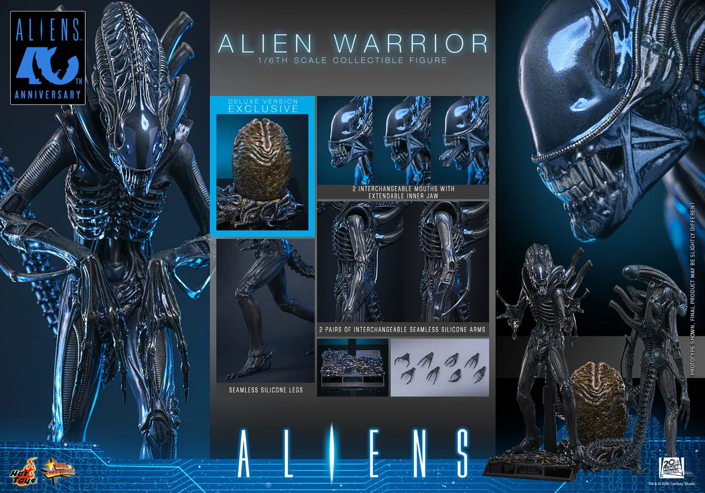 HOT TOYS – DJCCollectibles