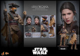 ( Pre Order ) Hot Toys Star Wars: Return of the Jedi MMS854 Leia Organa (Boushh Disguise) 1/6th Scale Collectible Figure