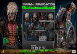 ( Pre Order ) HOT TOYS Prey TMS173 Feral Predator (Battle Damaged Ver.) 1/6th Scale Collectible Figure