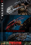 ( Pre Order ) Hot Toys Predator Predator MMS816 Predator (2.0 Ver.) 1/6th Scale Collectible Figure