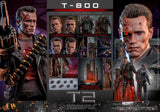 ( Pre Order ) Hot Toys Terminator 2: Judgement Day DX46 T-800 (Battle Damaged Version 2.0) 1/6th Scale Collectible Figure
