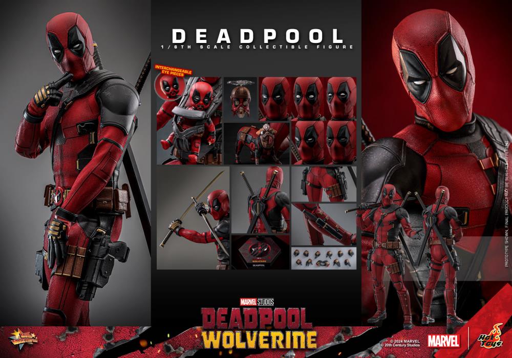 HOT TOYS – DJCCollectibles