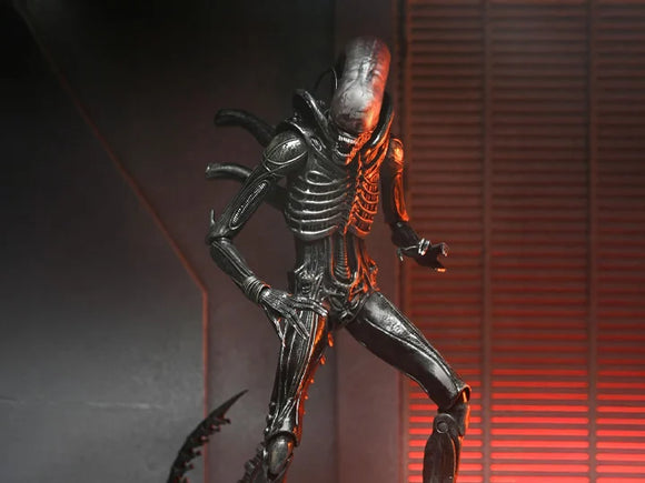 ( Pre Order ) NECA Alien: Romulus Ultimate Xenomorph XX121 Action Figure