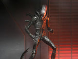 ( Pre Order ) NECA Alien: Romulus Ultimate Xenomorph XX121 Action Figure