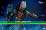 ( Pre Order ) HOT TOYS Prey TMS173 Feral Predator (Battle Damaged Ver.) 1/6th Scale Collectible Figure