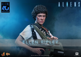 ( Pre Order ) Hot Toys Aliens MMS894 Ellen Ripley 1/6th Scale Collectible Figure