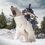 ( Pre Order ) G.I. Joe Classified Series #161, Snake Eyes & Polar Bear Action Figure Set