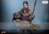 ( Pre Order ) Hot Toys Star Wars: Return of the Jedi MMS854 Leia Organa (Boushh Disguise) 1/6th Scale Collectible Figure