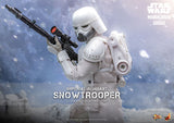 ( Pre Order ) Hot Toys Star Wars: The Mandalorian & Grogu MMS838 Imperial Remnant Snowtrooper 1/6th Scale Collectible Figure
