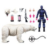 ( Pre Order ) G.I. Joe Classified Series #161, Snake Eyes & Polar Bear Action Figure Set