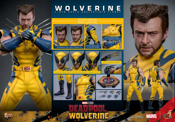 ( Pre Order ) Hot Toys Deadpool 3 - Wolverine (Deluxe Version) 1/6 Scale Figure