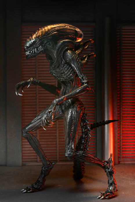 ( Pre Order ) NECA Alien: Romulus Ultimate Scorched  Xenomorph  7