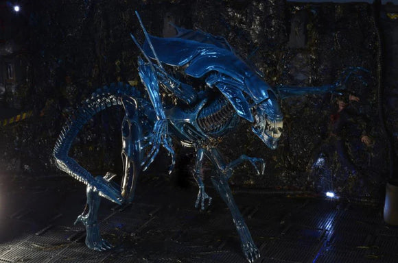 ( Pre Order ) NECA Aliens Xenomorph Queen Deluxe Action Figure