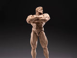 ( Pre Order ) INART- Blank Male Body 1/12 Action Figure (Skintone)