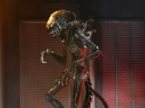 IN STOCK! NECA Alien: Romulus Ultimate Scorched Alien Xenomorph