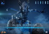 ( Pre Order ) Hot Toys Aliens MMS899 Alien Warrior (Deluxe Ver.) 1/6th Scale Collectible Figure