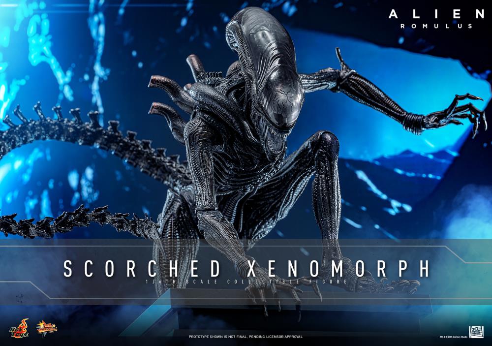 Pre Order ) Hot Toys Alien: Romulus MMS784 Scorched Xenomorph 1