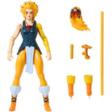 ( Pre Order ) MOTU x Thundercats Cheetara Action figure