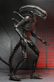 ( Pre Order ) NECA Alien: Romulus Ultimate Xenomorph XX121 Action Figure