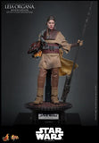 ( Pre Order ) Hot Toys Star Wars: Return of the Jedi MMS854 Leia Organa (Boushh Disguise) 1/6th Scale Collectible Figure