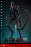 ( Pre Order ) Hot Toys Alien: Romulus MMS784 Scorched Xenomorph 1/6th Scale Collectible Figure