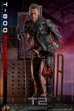 ( Pre Order ) Hot Toys Terminator 2: Judgement Day DX46 T-800 (Battle Damaged Version 2.0) 1/6th Scale Collectible Figure