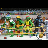 IN STOCK! NECA TMNT Adventures Stump Wrestling Turtles (Archie Comics) Four-Pack